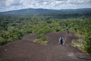 Banco Agrario de Colombia en Mitú, servicios financieros en el departamento de Vaupés