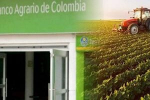 Banco Agrario de Colombia en Tesalia, Servicios Financieros Agrícolas