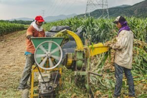 Banco Agrario Duitama: Servicios y Ofertas para Agricultores en Colombia