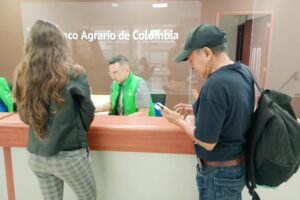 Banco Agrario Palmira: Servicios y Ofertas para el Sector Agropecuario en Colombia
