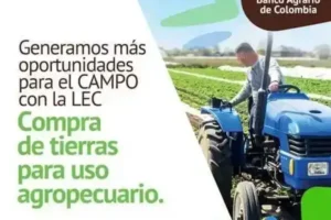 Banco Agrario San Antero: Servicios y Ofertas para el Sector Agropecuario Colombiano